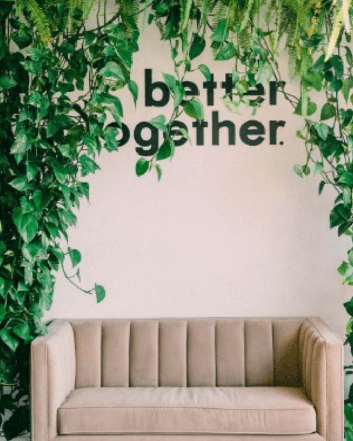 Beige couch with greenery or Better Together backdrop at FruitCraft